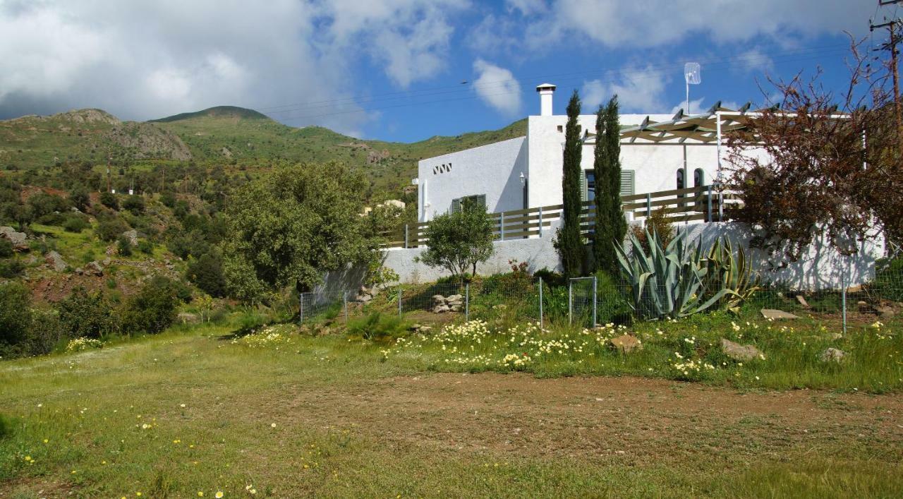 Serendipity Crete Agia Galini  Exterior photo